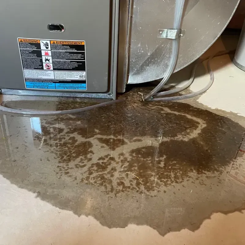 Appliance Leak Cleanup in Fredonia, WI